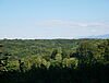 image-1142